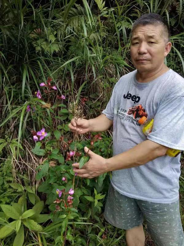 高級反射蜂療專家范景良