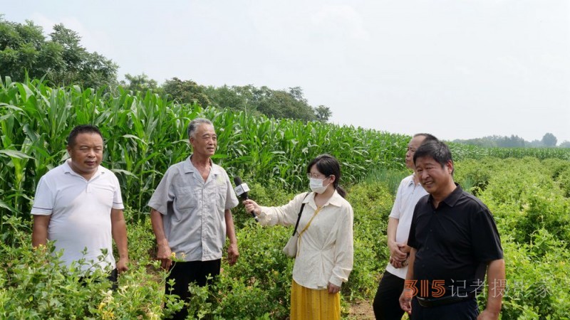 碳氫科技核肥技術助力巨鹿縣金銀花種植戶零農殘喜茯豐收